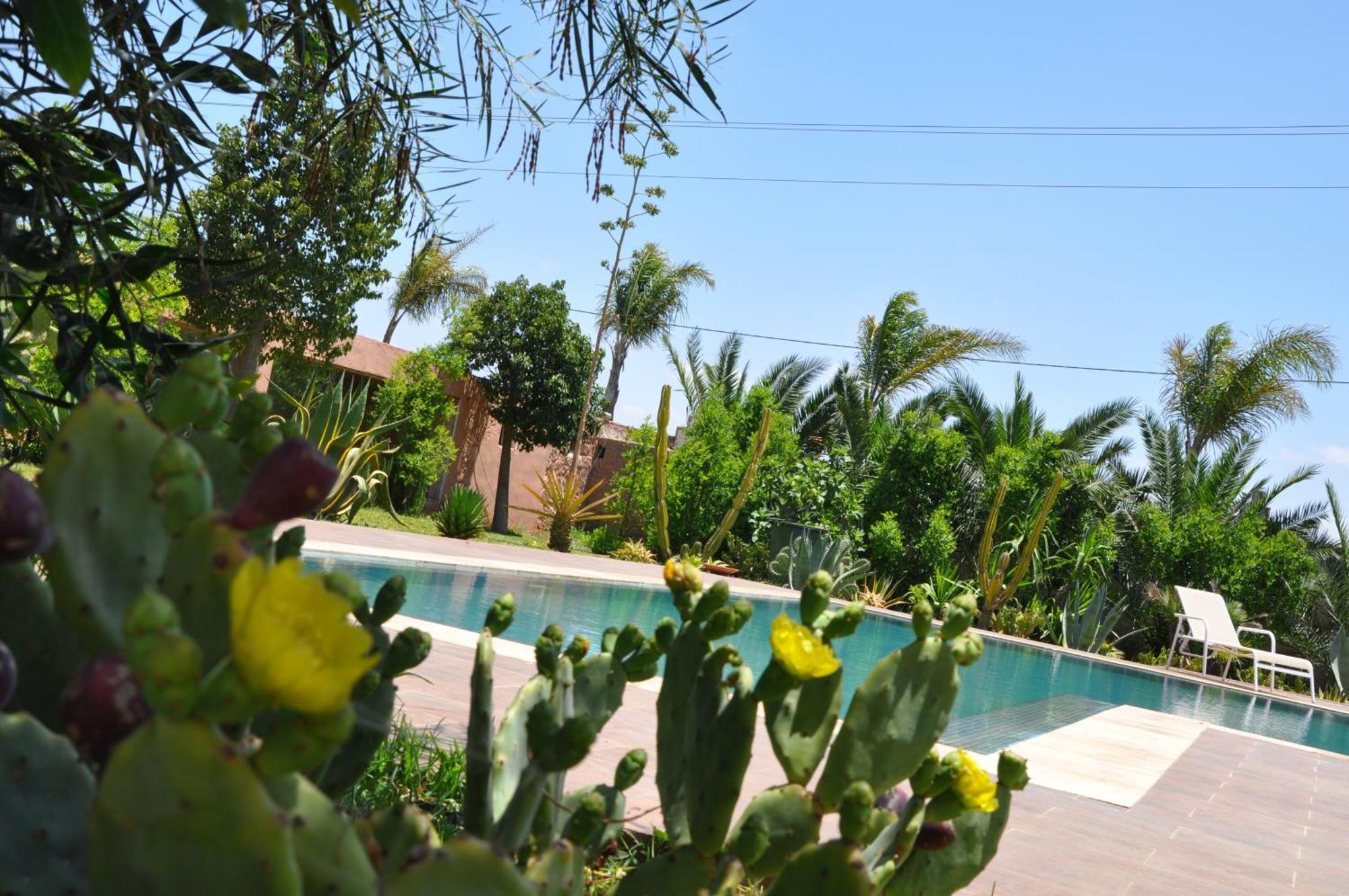 Derroua Riad Hamdani المظهر الخارجي الصورة