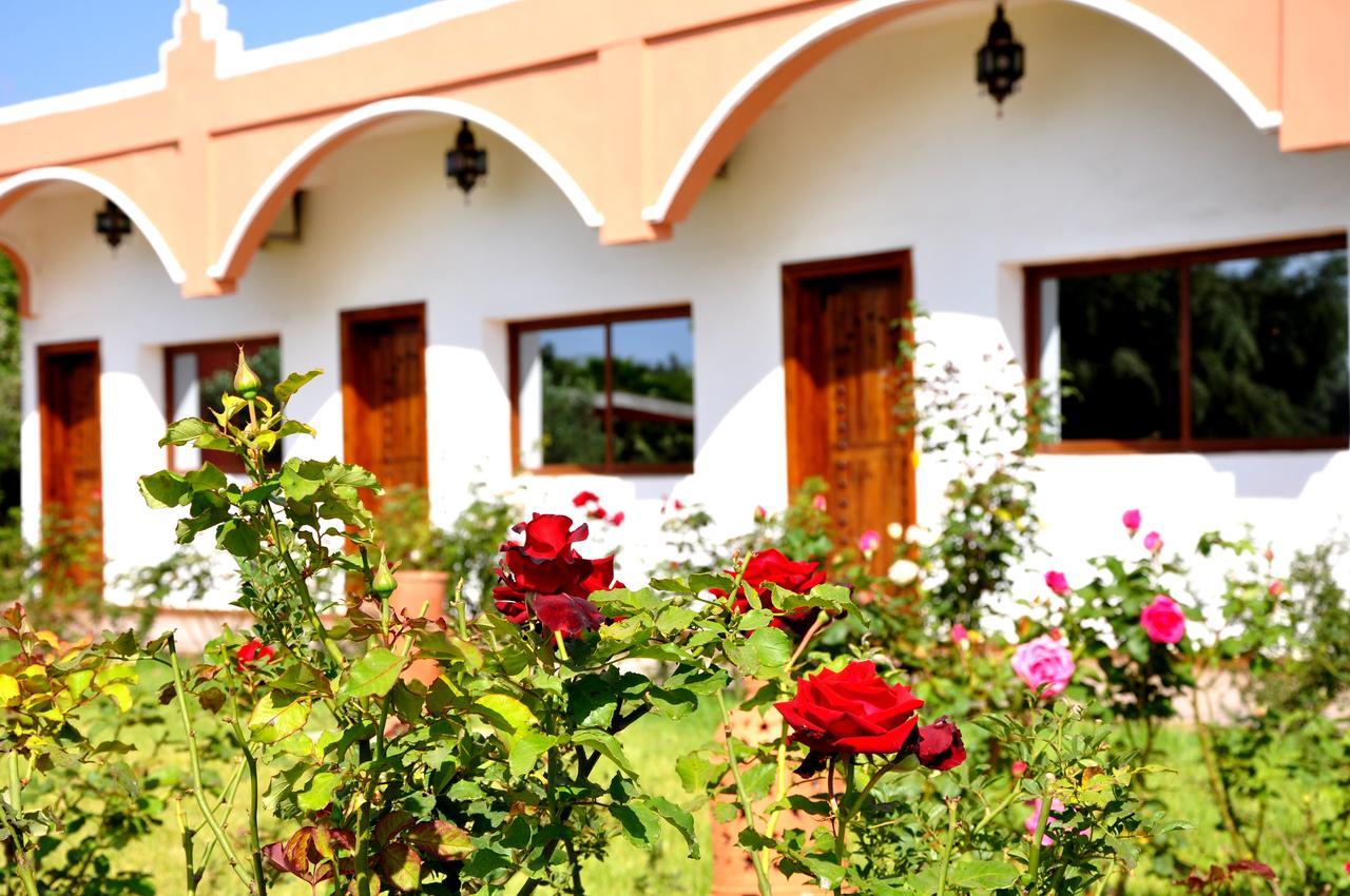 Derroua Riad Hamdani المظهر الخارجي الصورة
