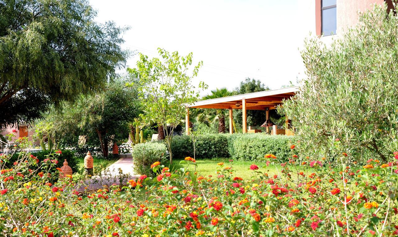Derroua Riad Hamdani المظهر الخارجي الصورة