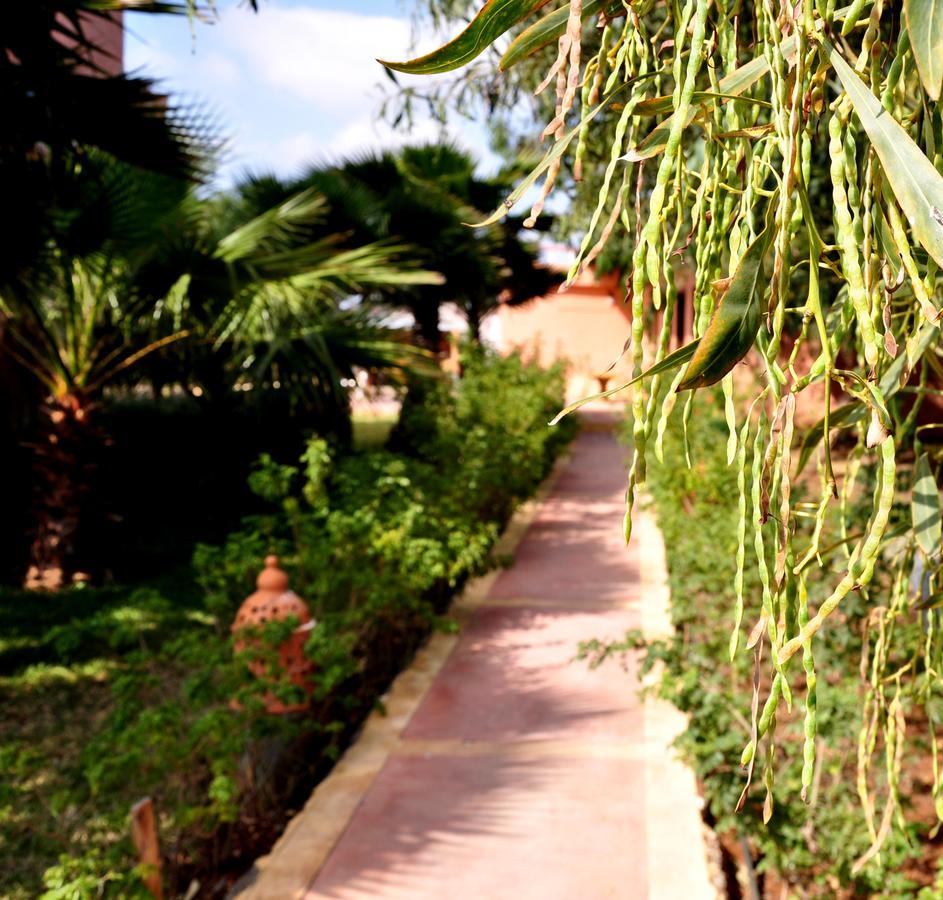 Derroua Riad Hamdani المظهر الخارجي الصورة