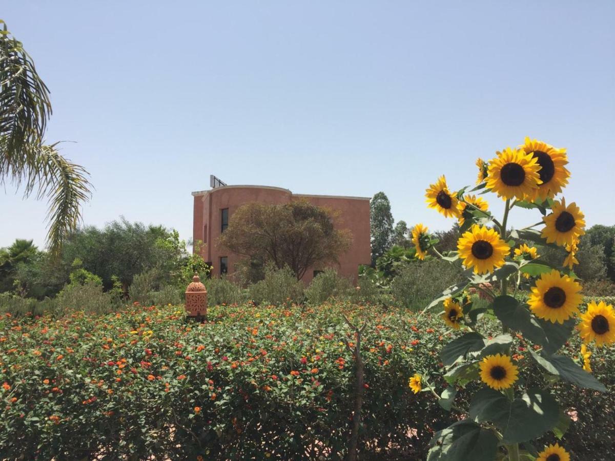Derroua Riad Hamdani المظهر الخارجي الصورة